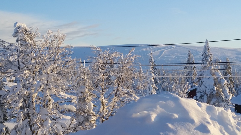 Utsikt över Högis backar